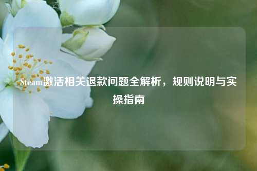 Steam激活相关退款问题全解析,规则说明与实操指南