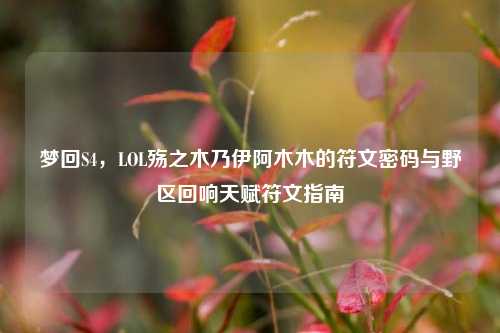 梦回S4,LOL殇之木乃伊阿木木的符文密码与野区回响天赋符文指南
