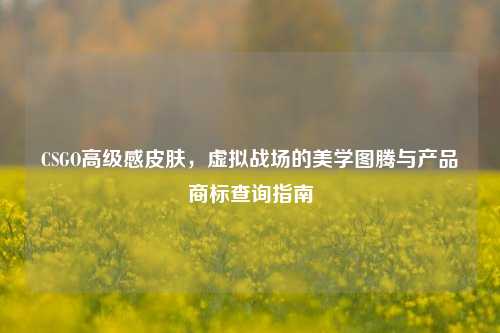 CSGO高级感皮肤,虚拟战场的美学图腾与产品商标查询指南
