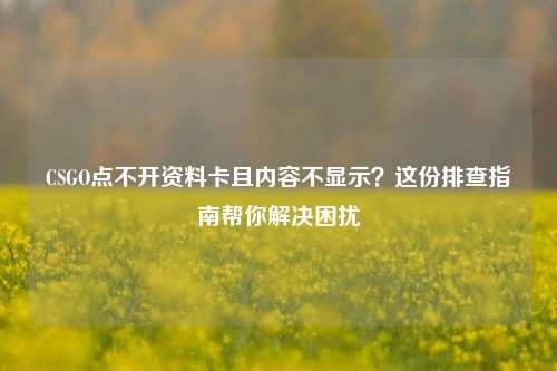 CSGO点不开资料卡且内容不显示?这份排查指南帮你解决困扰