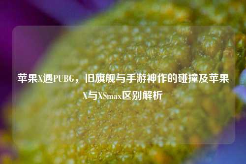 苹果X遇PUBG,旧旗舰与手游神作的碰撞及苹果X与XSmax区别解析