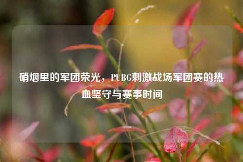 硝烟里的军团荣光,PUBG刺激战场军团赛的热血坚守与赛事时间