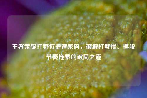 王者荣耀打野位提速密码,破解打野慢、摆脱节奏拖累的破局之道