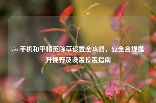 vivo手机和平精英除草设置全攻略,安全合规提升视野及设置位置指南