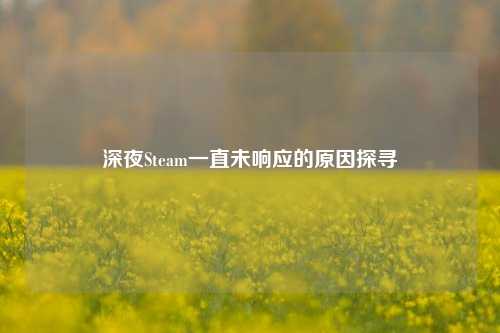 深夜Steam一直未响应的原因探寻