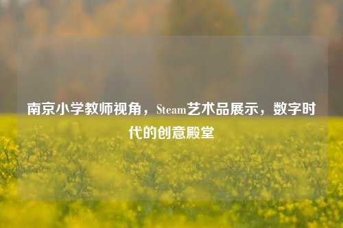 南京小学教师视角,Steam艺术品展示,数字时代的创意殿堂