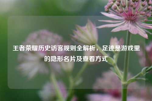 王者荣耀历史访客规则全解析,足迹是游戏里的隐形名片及查看方式