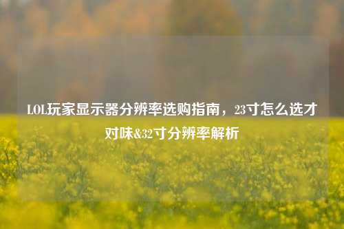 LOL玩家显示器分辨率选购指南,23寸怎么选才对味&32寸分辨率解析