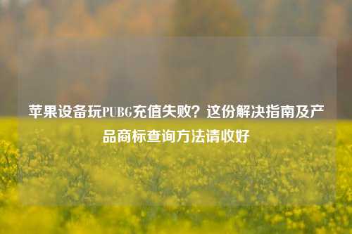 苹果设备玩PUBG充值失败?这份解决指南及产品商标查询方法请收好