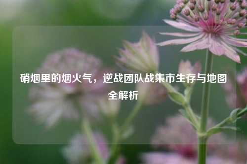 硝烟里的烟火气,逆战团队战集市生存与地图全解析
