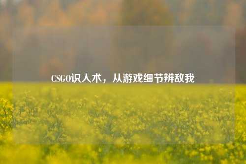 CSGO识人术,从游戏细节辨敌我