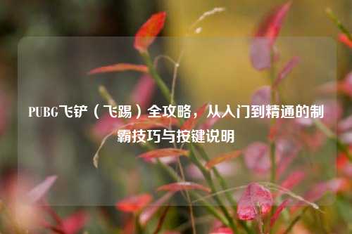 PUBG飞铲(飞踢)全攻略,从入门到精通的制霸技巧与按键说明