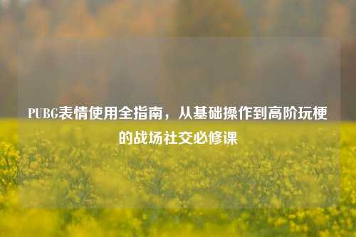 PUBG表情使用全指南,从基础操作到高阶玩梗的战场社交必修课