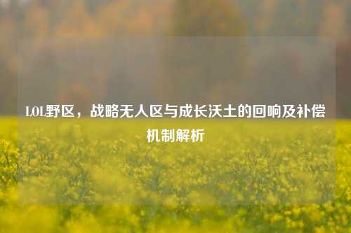 LOL野区,战略无人区与成长沃土的回响及补偿机制解析