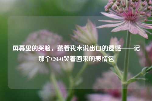 屏幕里的哭脸,藏着我未说出口的遗憾——记那个CSGO哭着回来的表情包