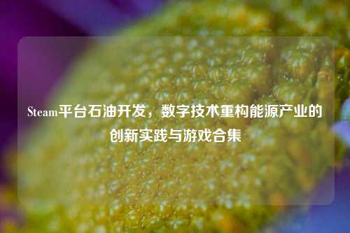 Steam平台石油开发,数字技术重构能源产业的创新实践与游戏合集