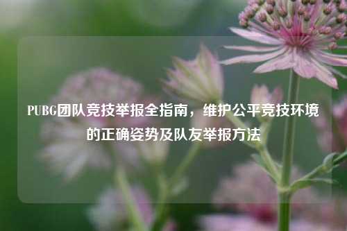 PUBG团队竞技举报全指南,维护公平竞技环境的正确姿势及队友举报方法