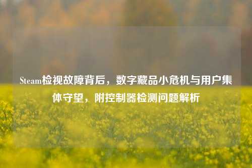 Steam检视故障背后,数字藏品小危机与用户集体守望,附控制器检测问题解析