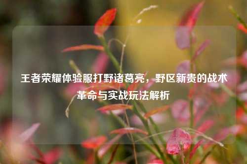 王者荣耀体验服打野诸葛亮,野区新贵的战术革命与实战玩法解析