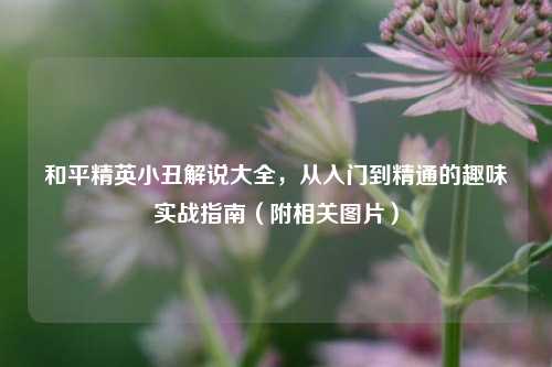 和平精英小丑解说大全,从入门到精通的趣味实战指南(附相关图片)
