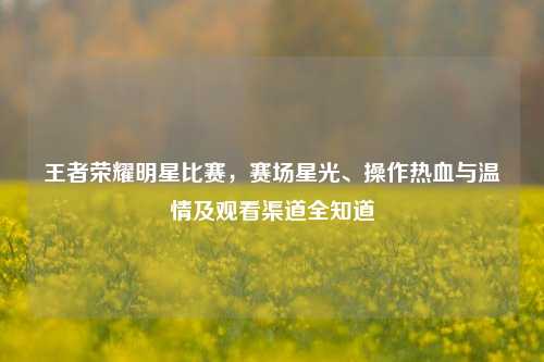 王者荣耀明星比赛,赛场星光、操作热血与温情及观看渠道全知道