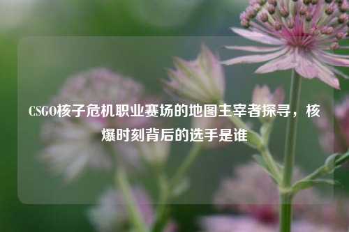 CSGO核子危机职业赛场的地图主宰者探寻，核爆时刻背后的选手是谁