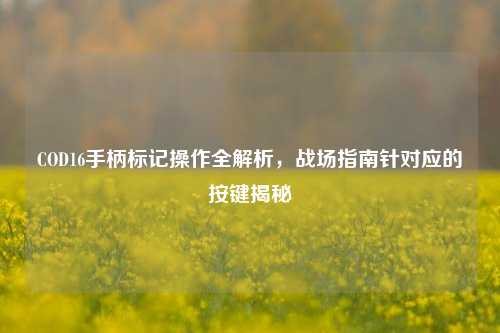 COD16手柄标记操作全解析，战场指南针对应的按键揭秘