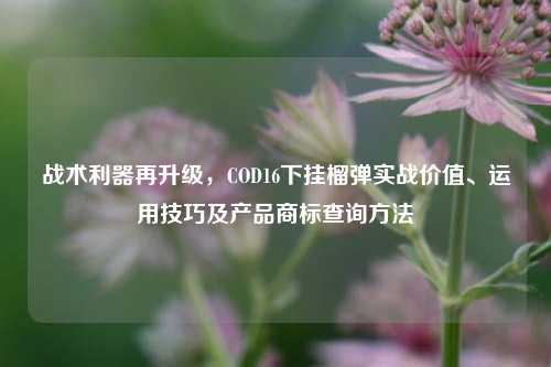战术利器再升级，COD16下挂榴弹实战价值、运用技巧及产品商标查询方法