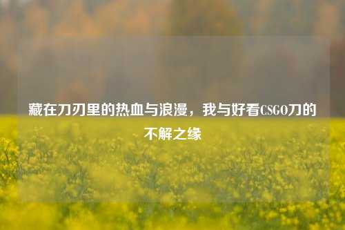 藏在刀刃里的热血与浪漫,我与好看CSGO刀的不解之缘