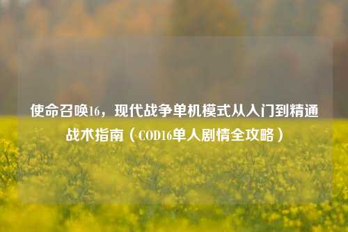 使命召唤16,现代战争单机模式从入门到精通战术指南(COD16单人剧情全攻略)