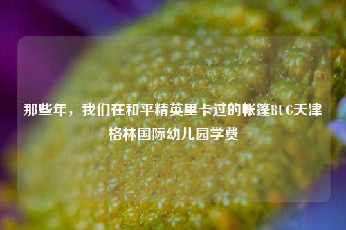 那些年,我们在和平精英里卡过的帐篷BUG天津格林国际幼儿园学费