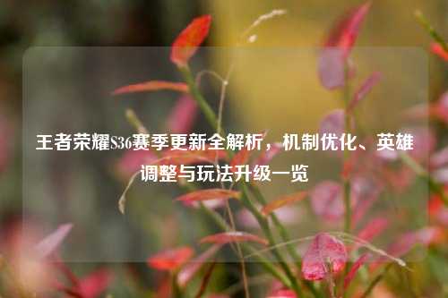 王者荣耀S36赛季更新全解析,机制优化、英雄调整与玩法升级一览