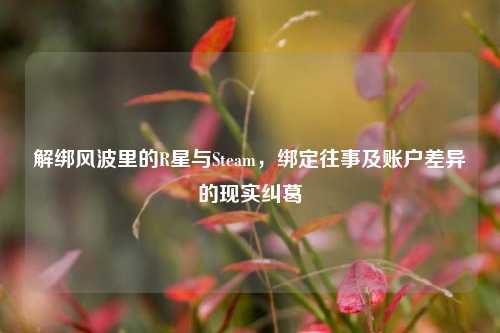 解绑风波里的R星与Steam,绑定往事及账户差异的现实纠葛