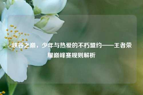 峡谷之巅,少年与热爱的不朽盟约——王者荣耀巅峰赛规则解析