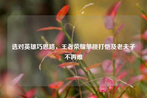 选对英雄巧思路，王者荣耀单挑打恺及老夫子不再难