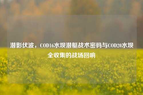潜影伏波,COD16水坝潜艇战术密码与COD20水坝全收集的战场回响