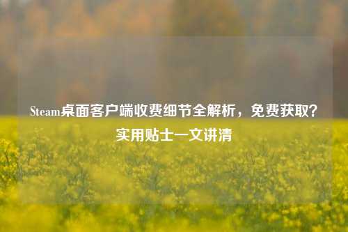 Steam桌面客户端收费细节全解析,免费获取?实用贴士一文讲清