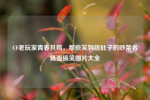 CF老玩家青春共鸣,那些笑到捂肚子的吵架名场面搞笑图片大全