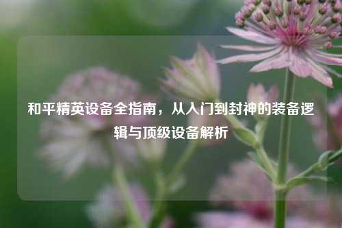 和平精英设备全指南,从入门到封神的装备逻辑与顶级设备解析