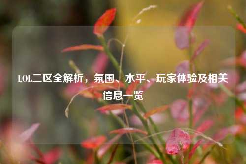 LOL二区全解析,氛围、水平、玩家体验及相关信息一览