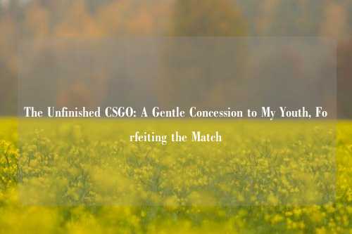 The Unfinished CSGO: A Gentle Concession to My Youth, Forfeiting the Match