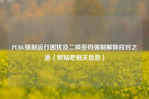 PUBG强制运行困扰及二级密码强制解除应对之道（附贴吧相关信息）