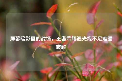 屏幕暗影里的战场,王者荣耀遇光线不足难题破解