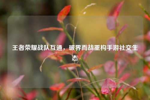 王者荣耀战队互通,破界而战重构手游社交生态
