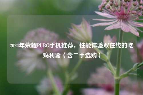 2024年荣耀PUBG手机推荐,性能体验双在线的吃鸡利器(含二手选购)