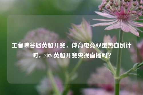 王者峡谷遇英超开赛,体育电竞双重热血倒计时,2026英超开赛央视直播吗?