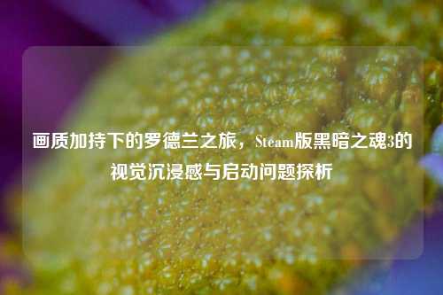 画质加持下的罗德兰之旅,Steam版黑暗之魂3的视觉沉浸感与启动问题探析