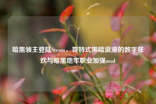 暗黑领主登陆Steam,哥特式黑暗浪漫的数字狂欢与暗黑地牢职业加强mod