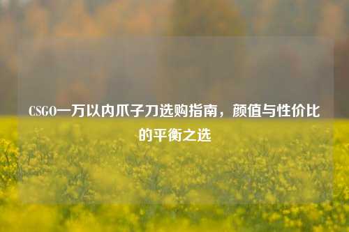 CSGO一万以内爪子刀选购指南,颜值与性价比的平衡之选