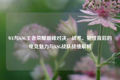 WE与KSG王者荣耀巅峰对决,战术、韧性背后的电竞魅力与KSG战队战绩解析